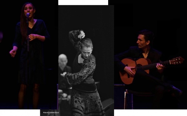 Form submissions artiest gezelschap Trio Flamenco pr 1 v2