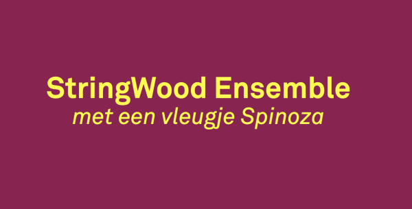 StringWood Ensemble website
